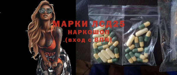 стаф Кулебаки