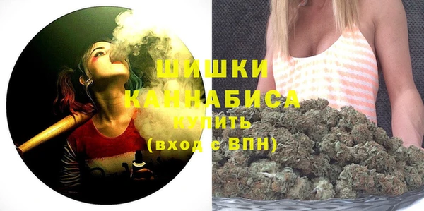 стаф Кулебаки