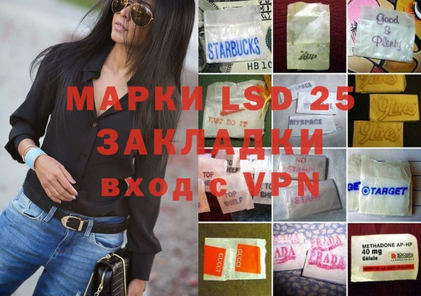 стаф Кулебаки