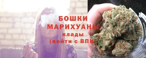 стаф Кулебаки